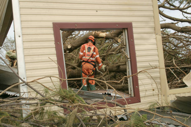 How Our Tree Care Process Works  in  Mccamey, TX